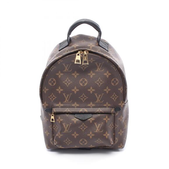 Louis Vuitton Handbags - Louis Vuitton Palm Springs Backpack Leather Brown Black